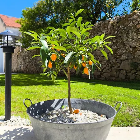 Lembranza Ponte Do Porto