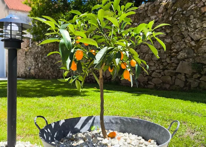 Lembranza Ponte Do Porto